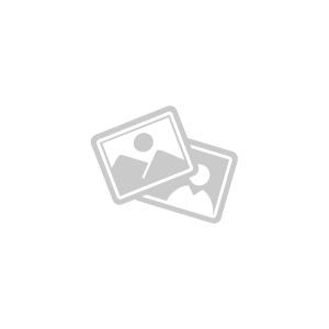 Matt Laminated + Foil Folding Business Cards